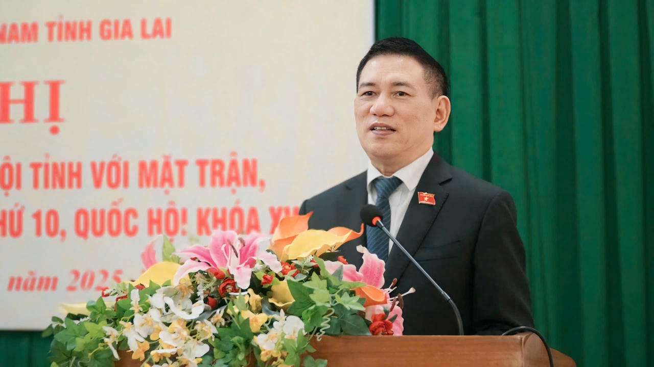 Phó&nbsp;Thủ tướng Chính phủ Hồ Đức Phớc tại buổi tiếp xúc cử tri tỉnh Gia Lai.