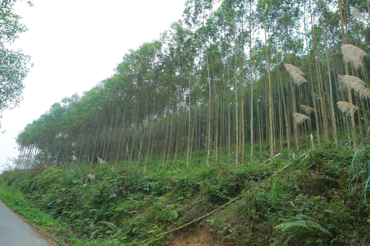 Địa phương ưu tiên thu hút đầu tư vào các ngành công nghiệp có lợi thế, đặc biệt là công nghiệp chế biến nông, lâm sản gắn với vùng nguyên liệu.