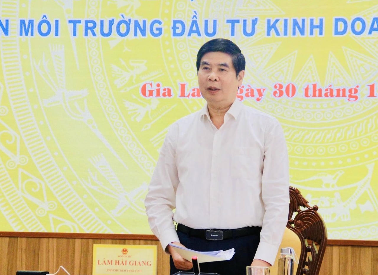 Ông Lâm Hải Giang - Phó Chủ tịch UBND tỉnh Gia Lai phát biểu tại họp báo.