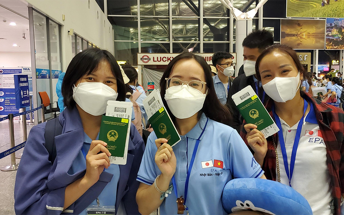 Đưa người lao động Việt Nam đi làm việc ở nước ngoài: Thúc đẩy di chuyển lao động có tay nghề
