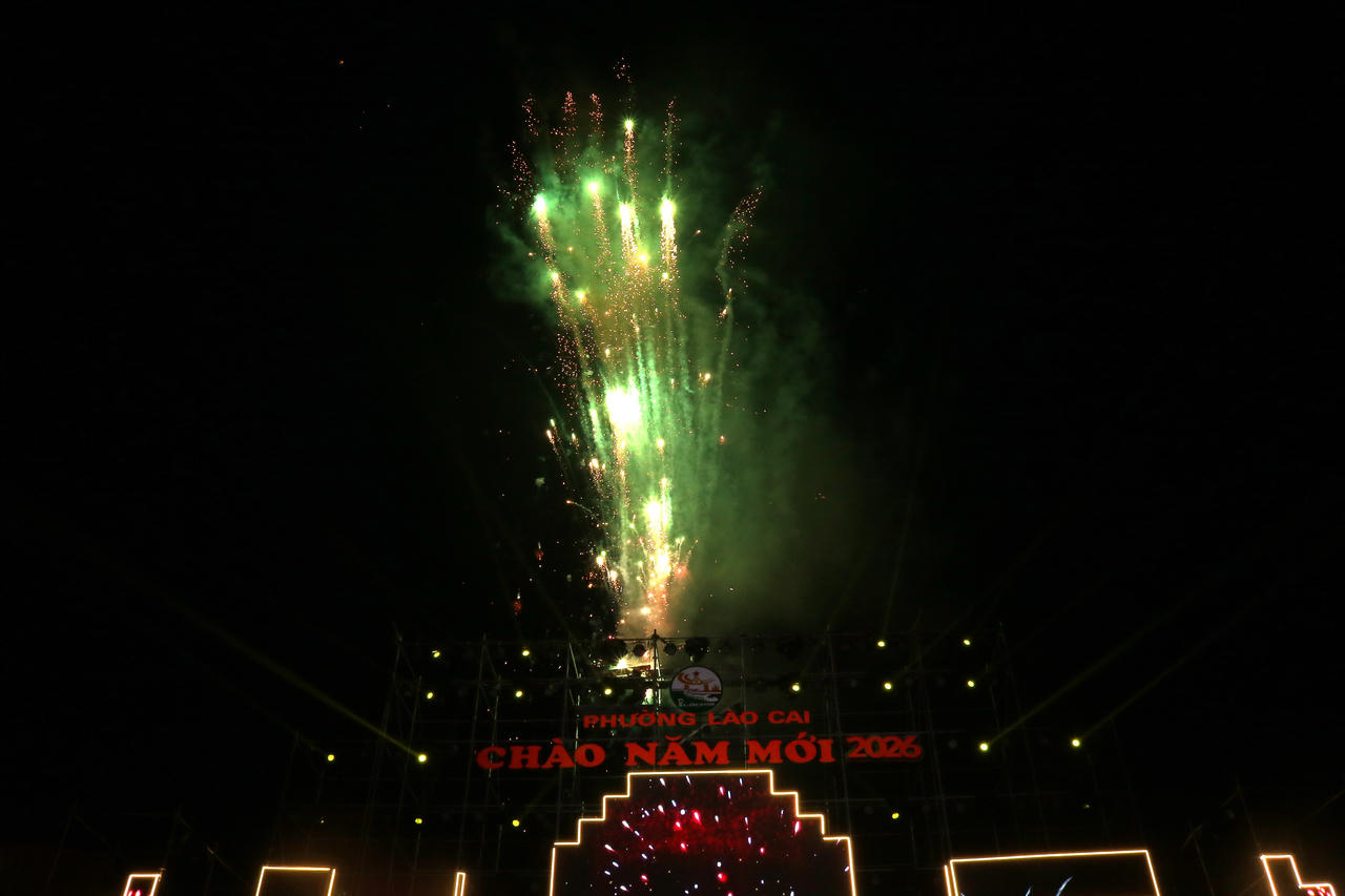 Màn pháo hoa rực sáng bầu trời.