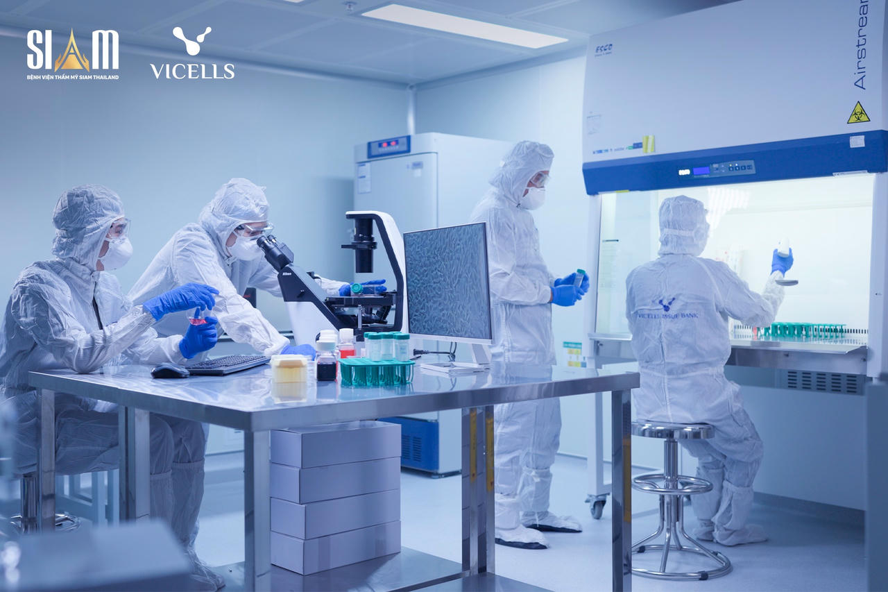 VICELLS giải mã giá trị mô mỡ trong lưu trữ tế bào gốc cho người trưởng thành