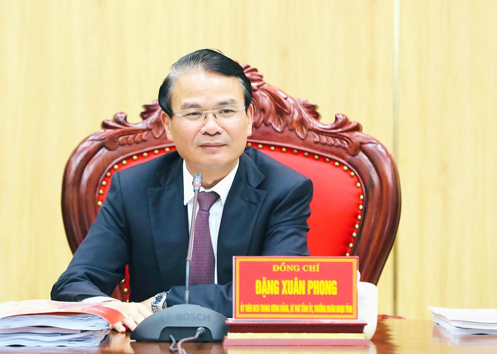 Bí thư Tỉnh ủy Đặng Xuân Phong phát biểu tại hội nghị. (Ảnh: Hồng Giang)