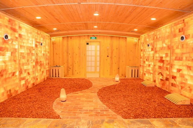 Tại Ikigai Wellness Center, cư dân được tận hưởng làn khoáng nóng nhập trực tiếp từ Nhật