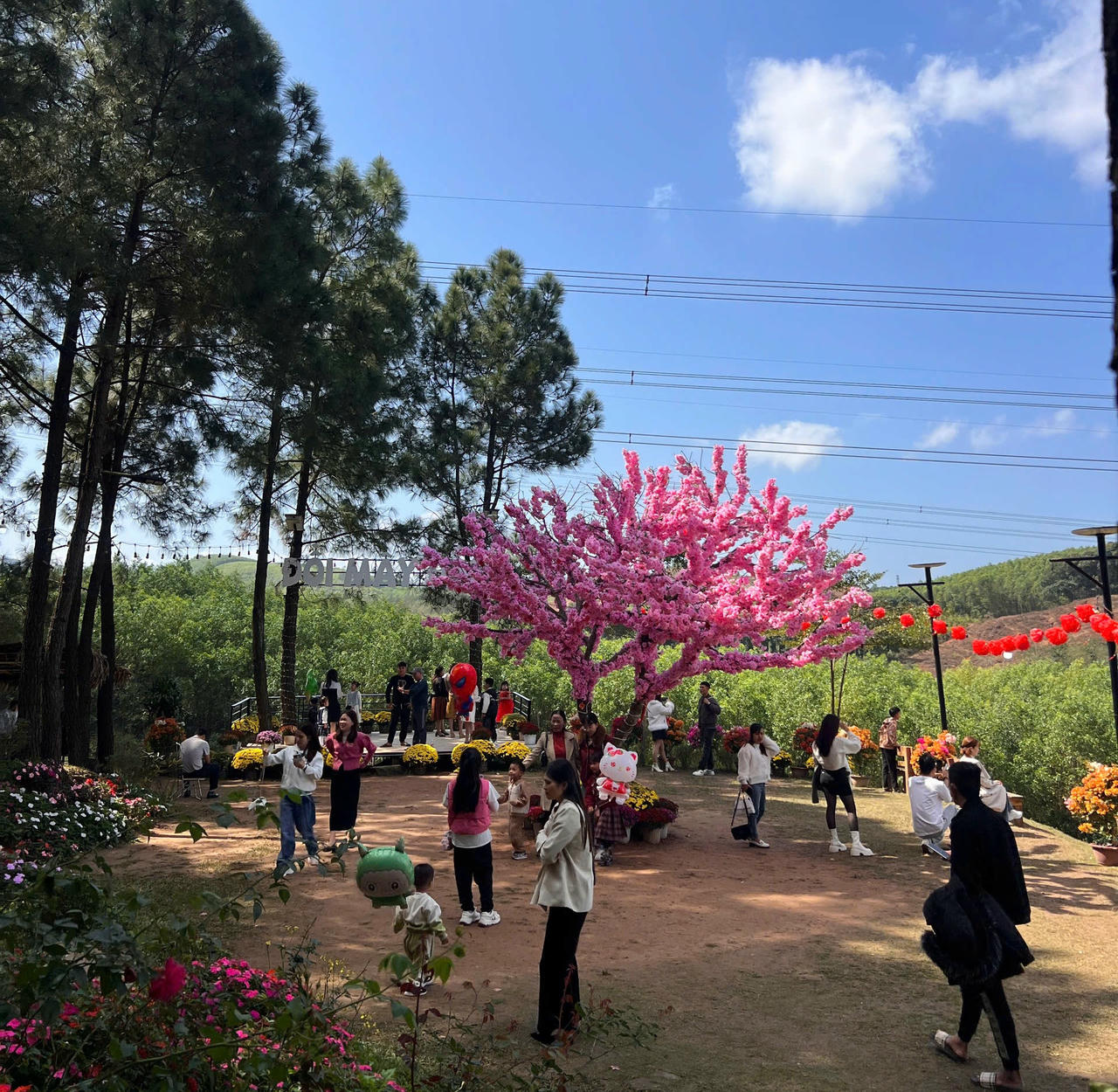 Người dân và du khách tham quan, vui xuân trong không gian xanh, thoáng đãng tại điểm du lịch Đồi Mây Đắng trên địa bàn xã Bố Trạch.