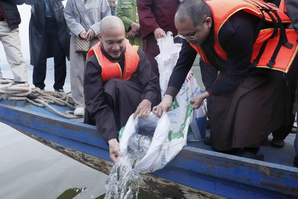 Thả cá phóng sinh tái tạo nguồn lợi sông Đà