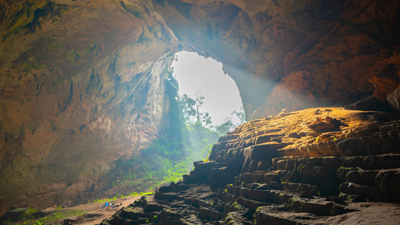 Khoảnh khắc ánh nắng rọi vào từ cửa hang Pygmy khiến thảm thực vật bừng sáng. Ảnh: Jungle Boss