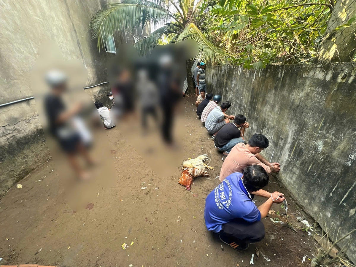 Các đối tượng tham gia vụ đánh bạc tại phường Long An (ảnh: CATN)