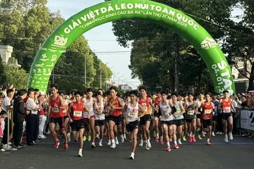 Giải năm nay quy tụ 9 đoàn thể thao các tỉnh, thành tham gia hệ tuyển với hơn 120 vận động viên, cùng gần 2.500 chân chạy tham gia các nội dung phong trào.