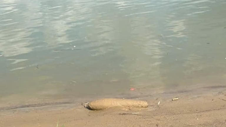 Tuyên Quang: Hủy nổ an toàn quả bom nặng 70kg