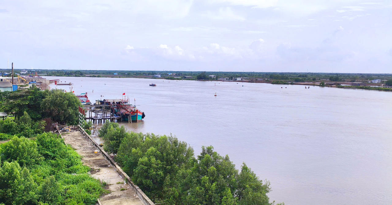 Cà Mau đầu tư 480 tỷ đồng kè bờ sông Gành Hào, tăng cường bảo vệ rừng và đê biển.