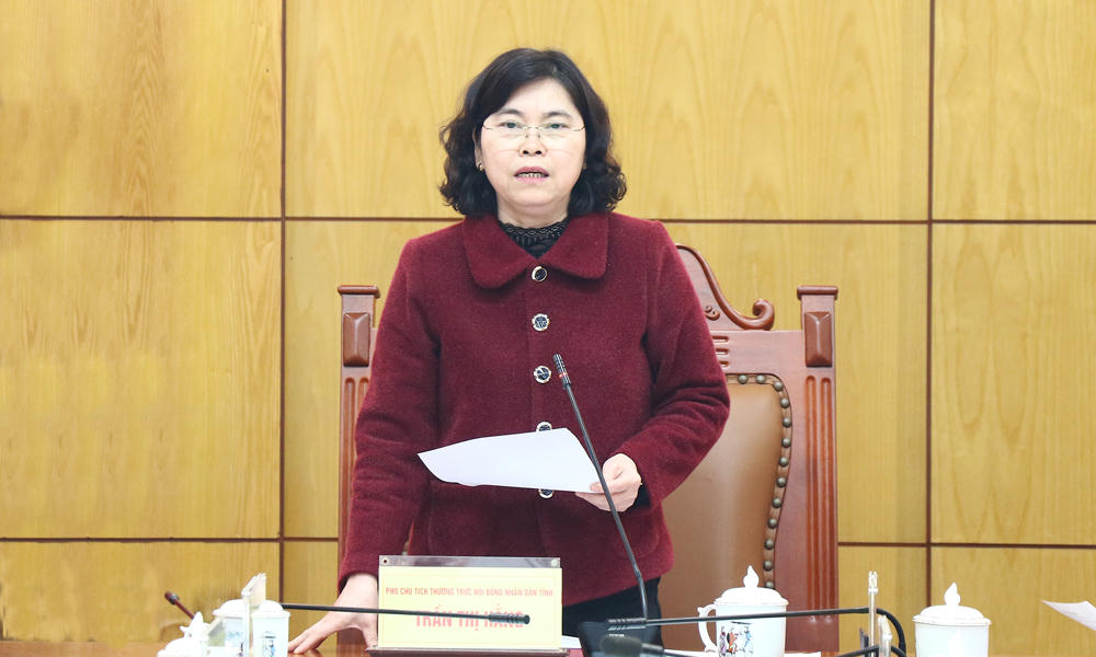 Phó Chủ tịch Thường trực HĐND tỉnh Trần Thị Hằng phát biểu kết luận hội nghị.