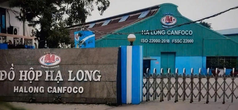 Bắt khẩn cấp Tổng giám đốc Công ty CP đồ hộp Hạ Long
