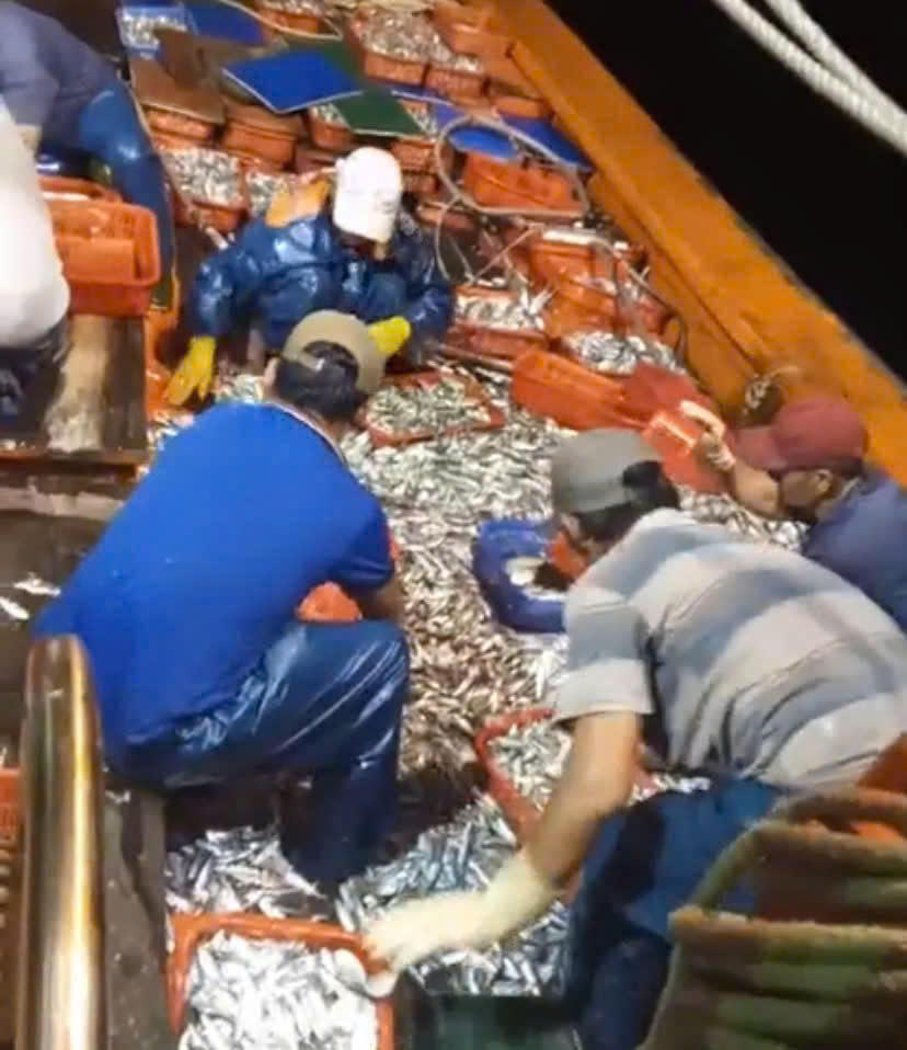 Xã ven biển Đông Trạch nổi lên như điểm sáng mới của tỉnh Quảng Trị