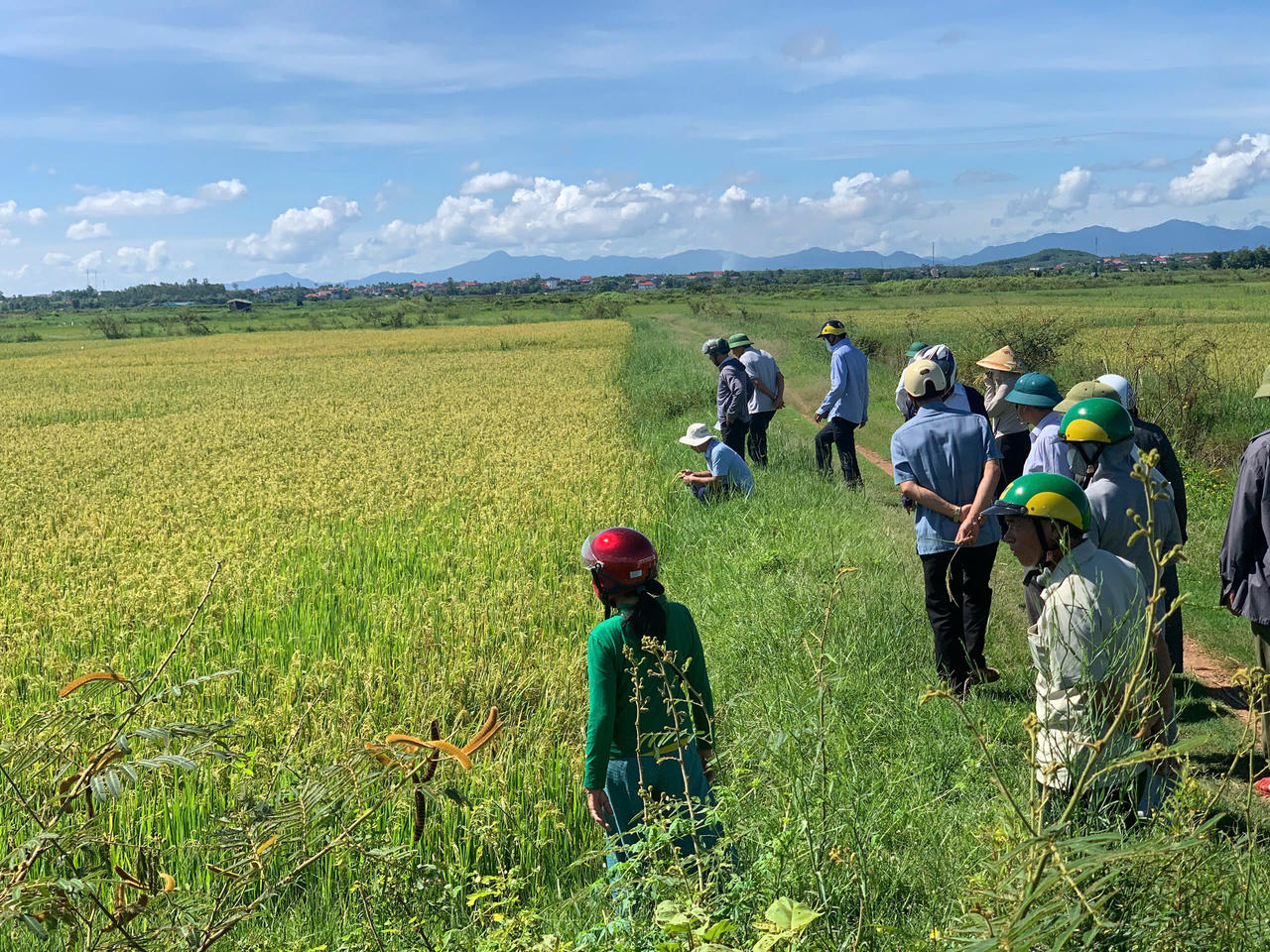 Xã ven biển Đông Trạch nổi lên như điểm sáng mới của tỉnh Quảng Trị