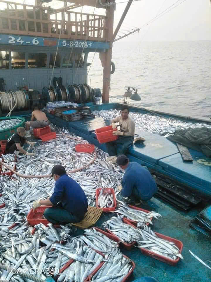 Xã ven biển Đông Trạch nổi lên như điểm sáng mới của tỉnh Quảng Trị