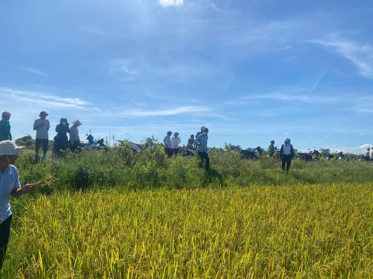 Xã ven biển Đông Trạch nổi lên như điểm sáng mới của tỉnh Quảng Trị