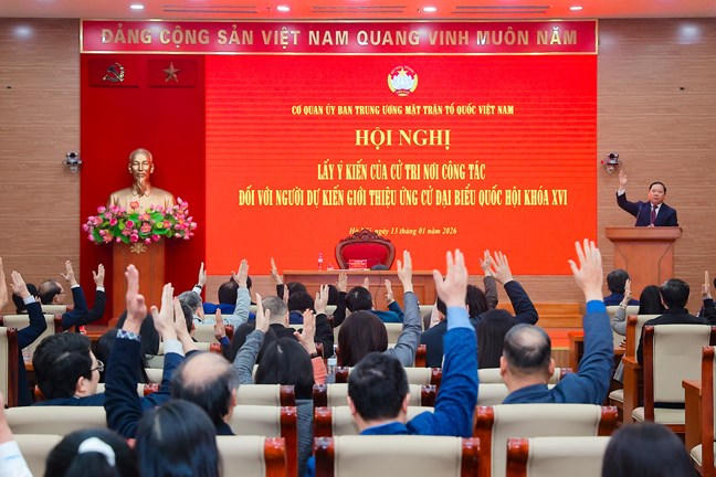 Cơ quan Ủy ban Trung ương MTTQ Việt Nam lấy ý kiến cử tri giới thiệu người ứng cử đại biểu Quốc hội 