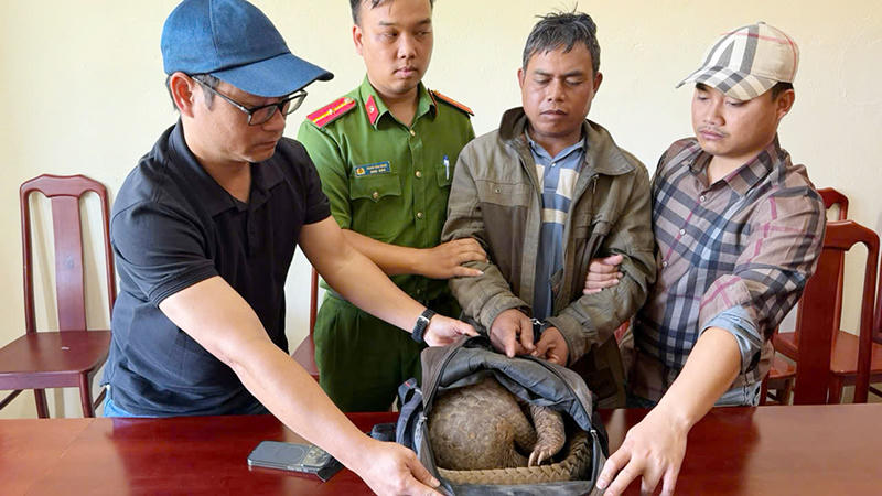 Bắt quả tang đối tượng vận chuyển, mua bán động vật hoang dã 