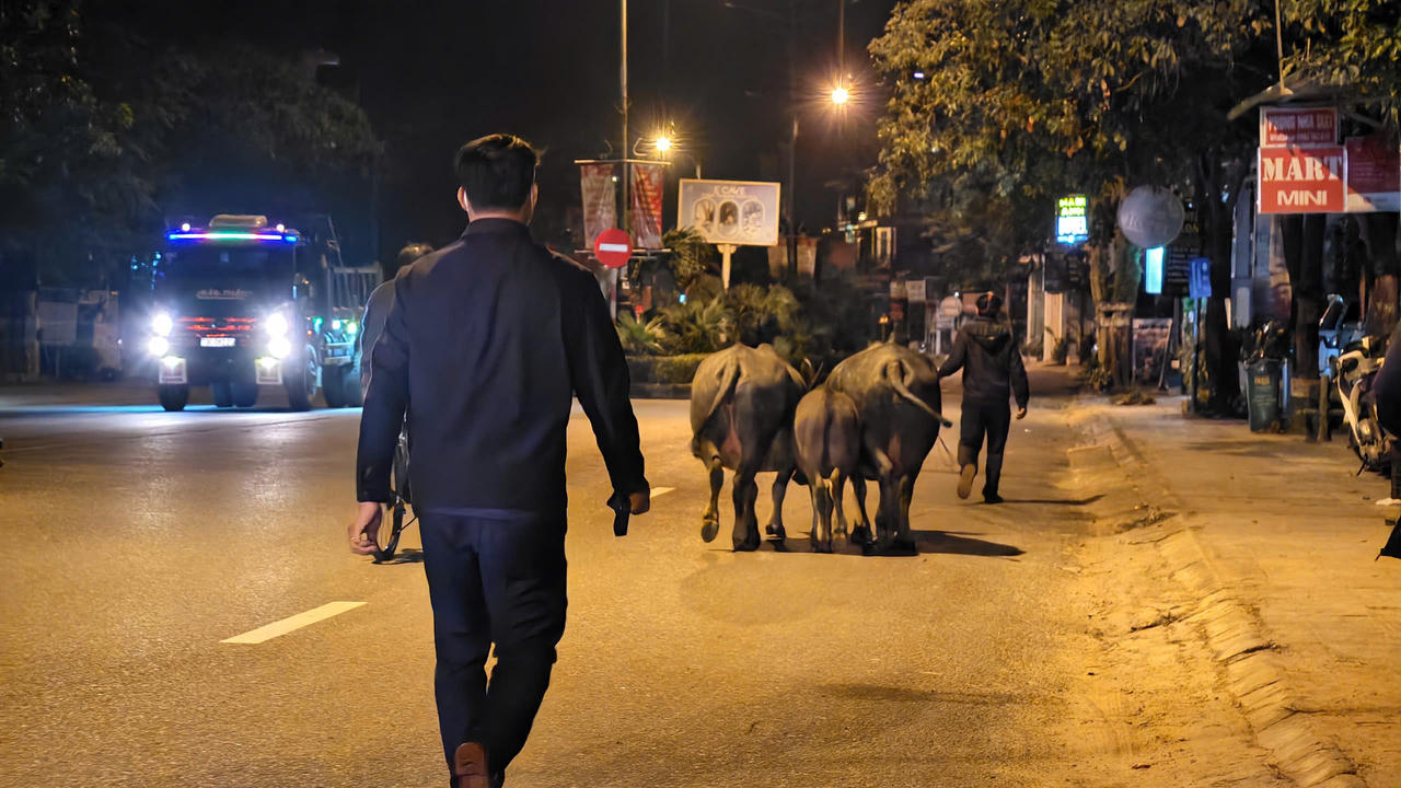 Xã Phong Nha (Quảng Trị): Bứt phá rõ nét trong năm đầu vận hành mô hình mới