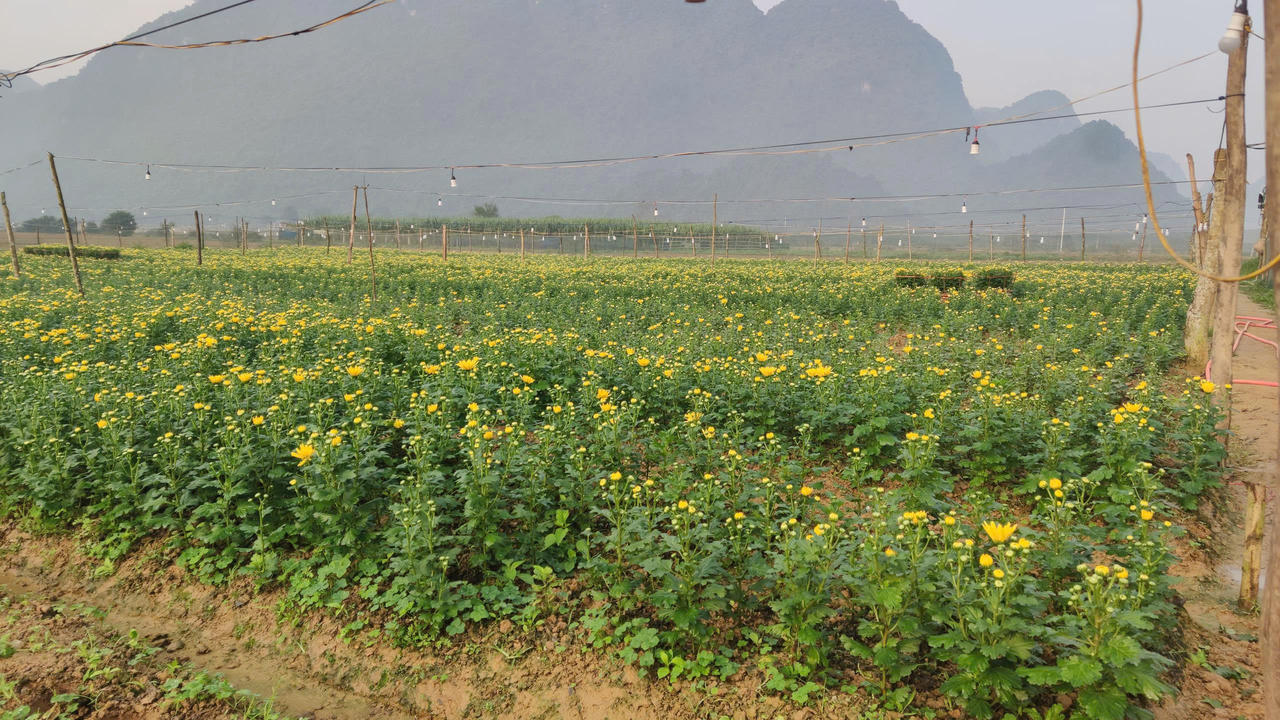 Xã Phong Nha (Quảng Trị): Bứt phá rõ nét trong năm đầu vận hành mô hình mới