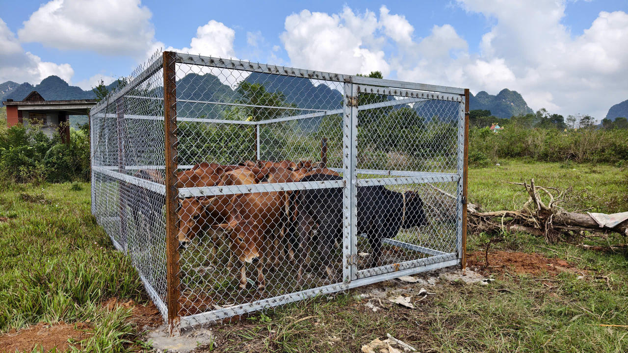 Xã Phong Nha (Quảng Trị): Bứt phá rõ nét trong năm đầu vận hành mô hình mới