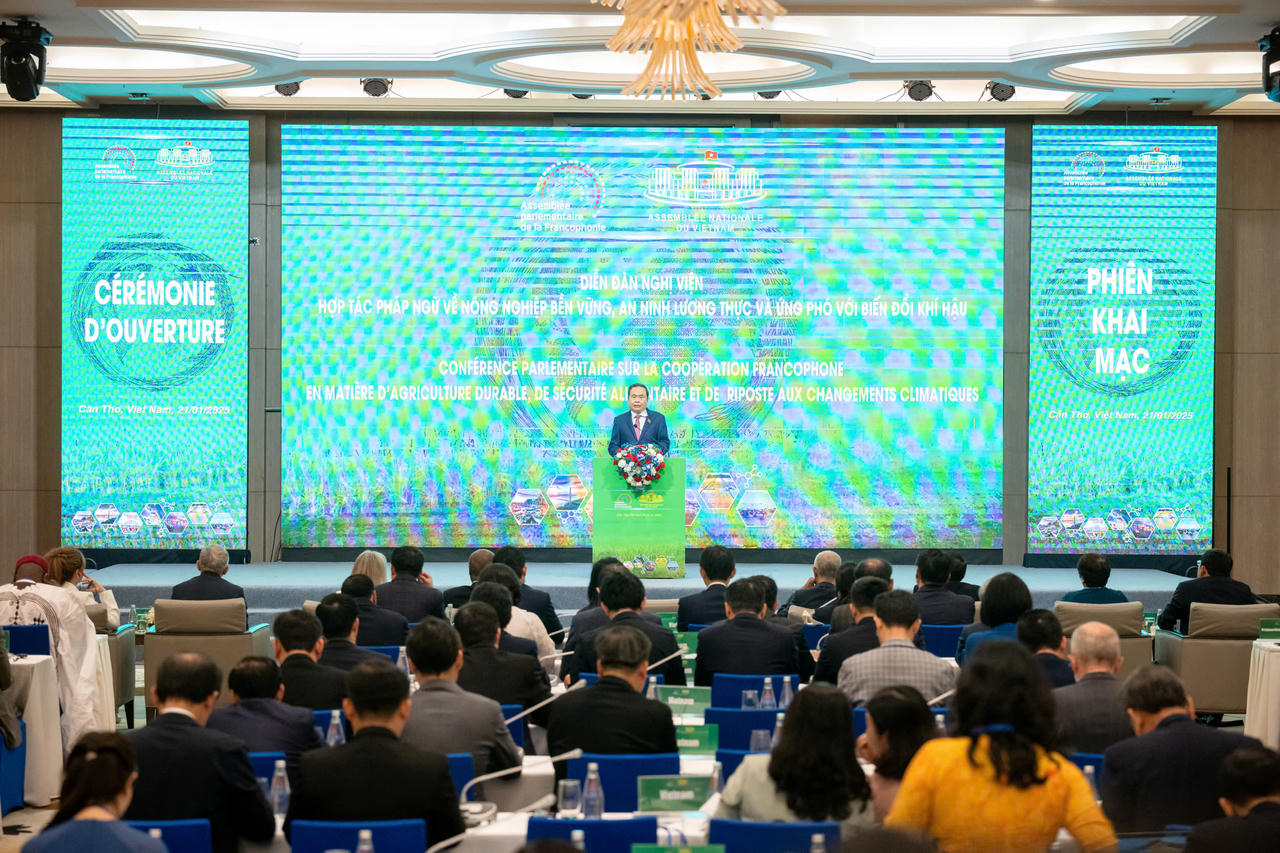 Đối ngoại của Quốc hội trong kỷ nguyên vươn mình của dân tộc