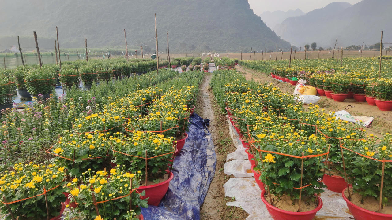 Xã Phong Nha (Quảng Trị): Bứt phá rõ nét trong năm đầu vận hành mô hình mới