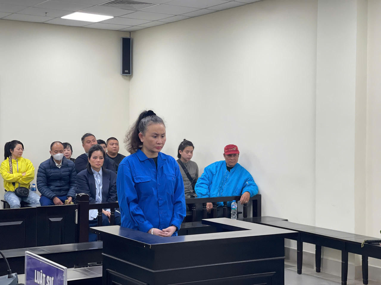 'Hứa' mua hộ biệt thự, chiếm đoạt gần 230 tỷ đồng, nữ bị cáo lãnh án chung thân