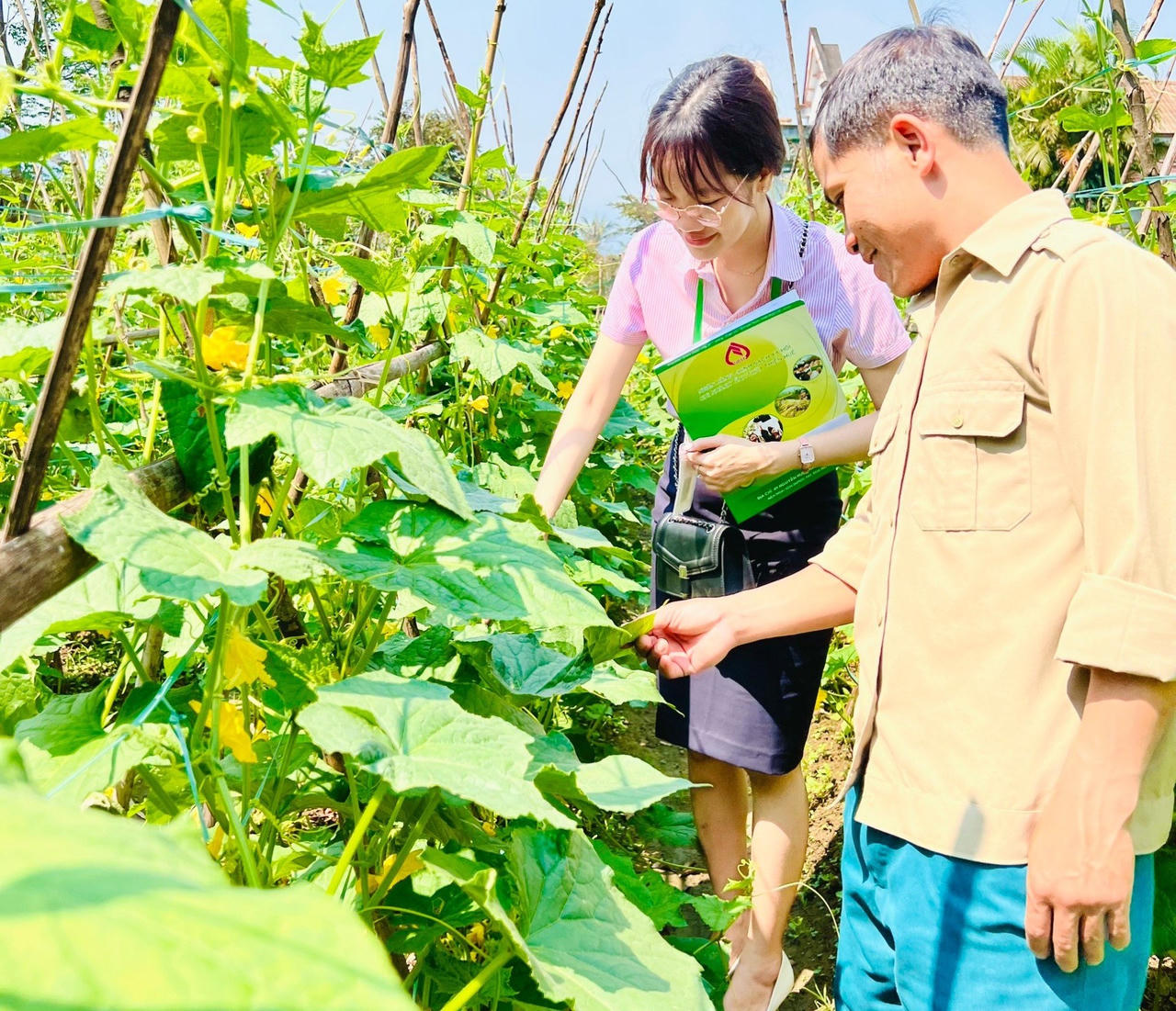 Thành lập Ban đại diện Hội đồng quản trị Ngân hàng Chính sách xã hội cấp xã