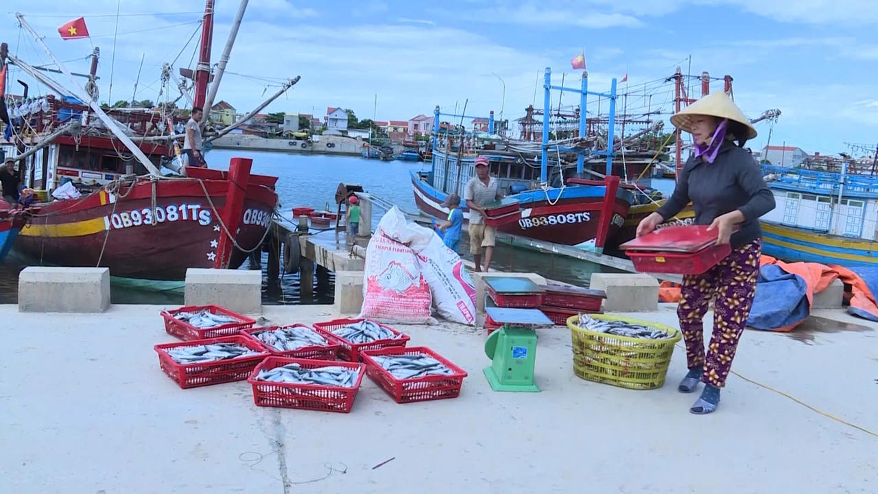 Phú Trạch vươn lên thành vùng động lực tăng trưởng mới phía Bắc Quảng Trị