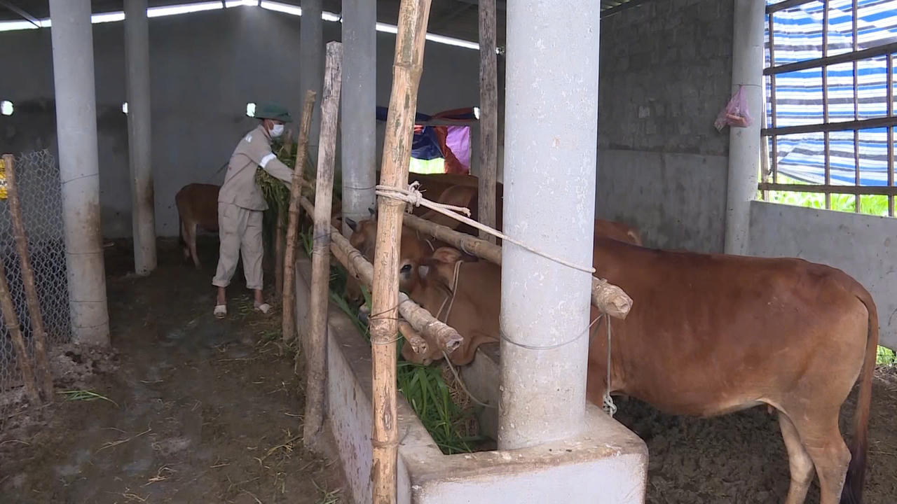 Phú Trạch vươn lên thành vùng động lực tăng trưởng mới phía Bắc Quảng Trị