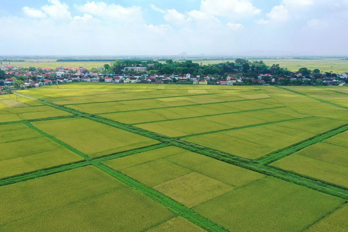 Thời hạn nộp tiền bổ sung thời gian sử dụng đất, thuê đất 