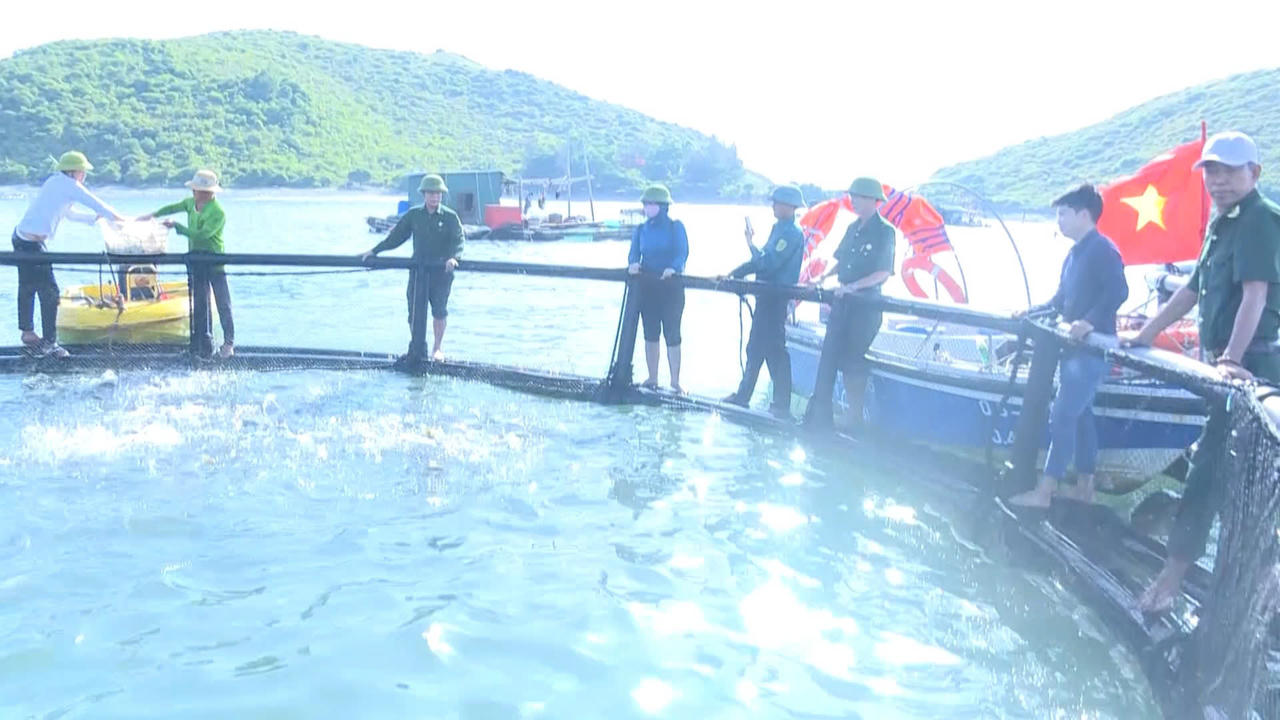 Phú Trạch vươn lên thành vùng động lực tăng trưởng mới phía Bắc Quảng Trị