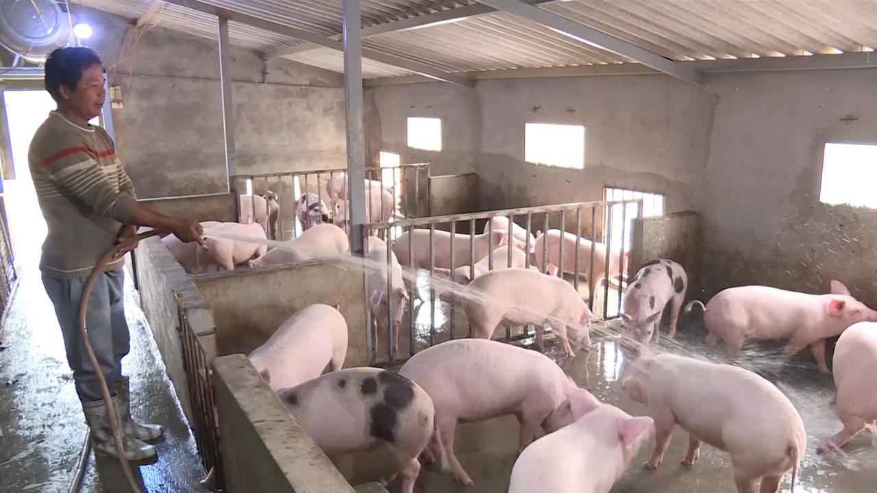 Phú Trạch vươn lên thành vùng động lực tăng trưởng mới phía Bắc Quảng Trị