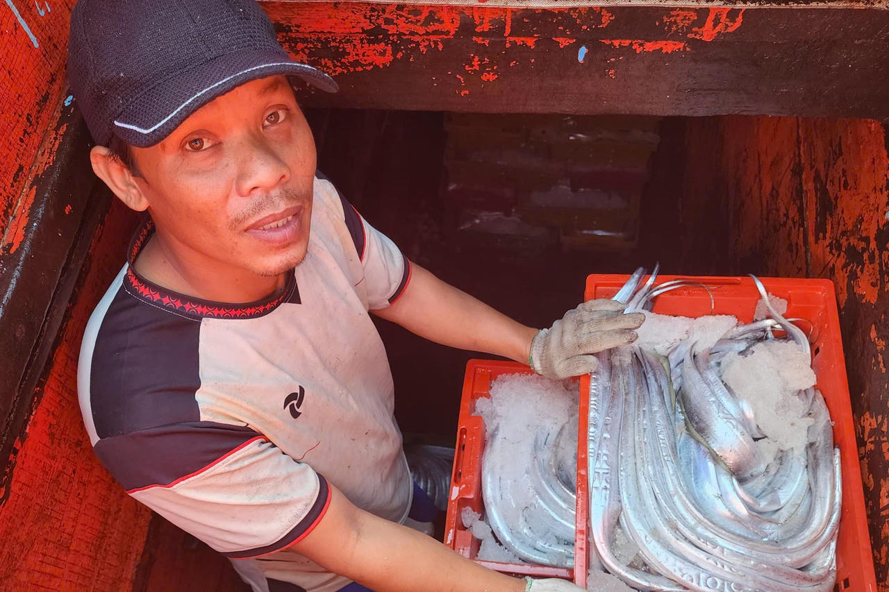 Ngư dân mừng rơn trúng đậm mẻ cá hố 5 tấn