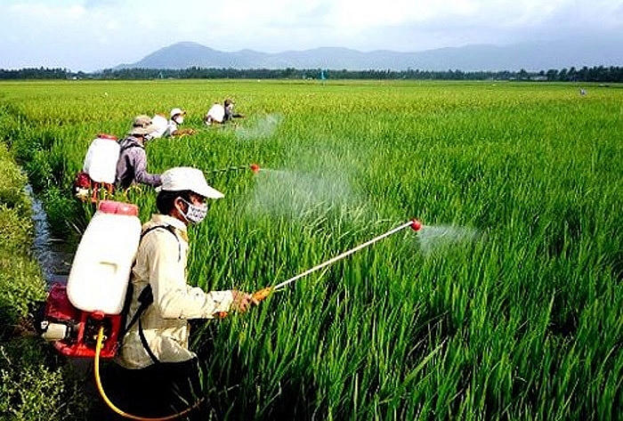 Điều kiện mới để sản xuất, buôn bán thuốc bảo vệ thực vật là gì?