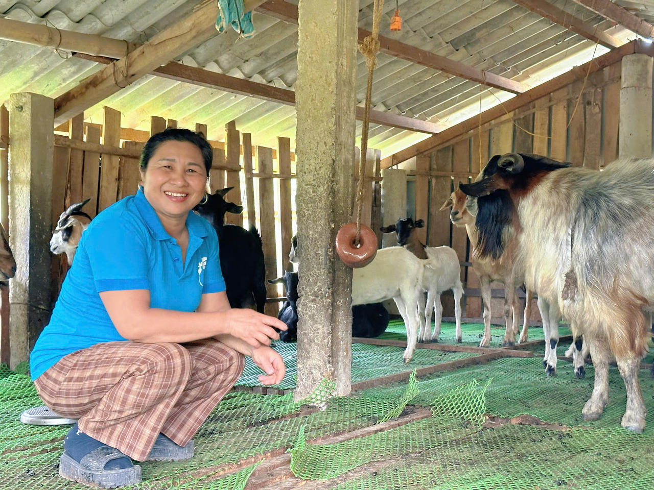 Mô hình phụ nữ liên kết phát triển kinh tế theo hướng tập thể tại Quảng Trị