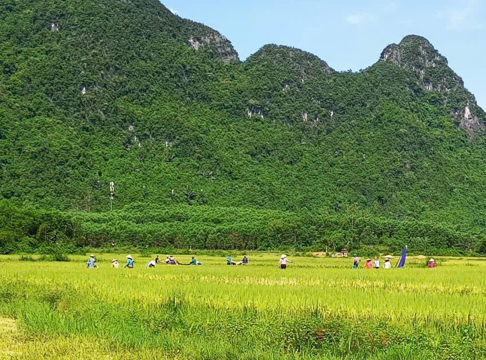 Xã Minh Hóa (Quảng Trị): Định hình không gian phát triển có chiều sâu và bền vững