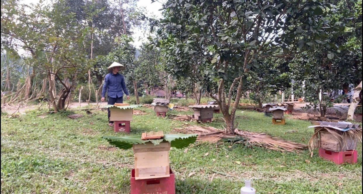 Xã Minh Hóa (Quảng Trị): Định hình không gian phát triển có chiều sâu và bền vững