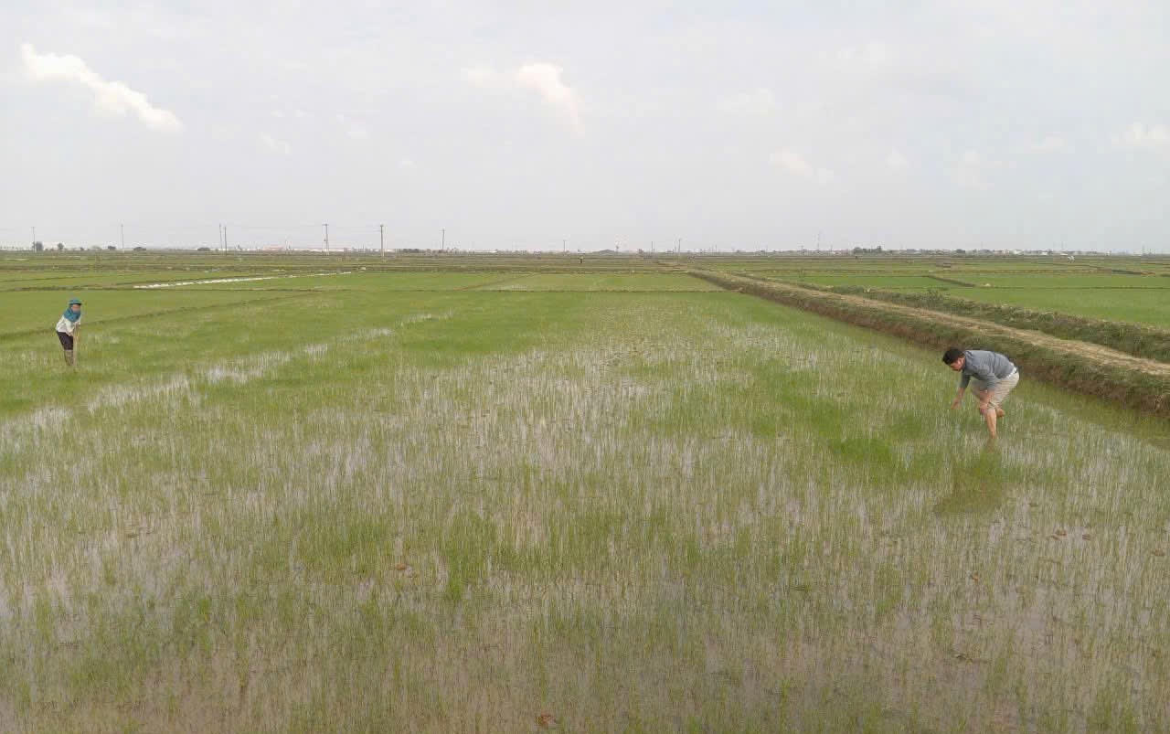 Xây nền, tạo lực cho Bắc Trạch (Quảng Trị) giữ đà tăng trưởng