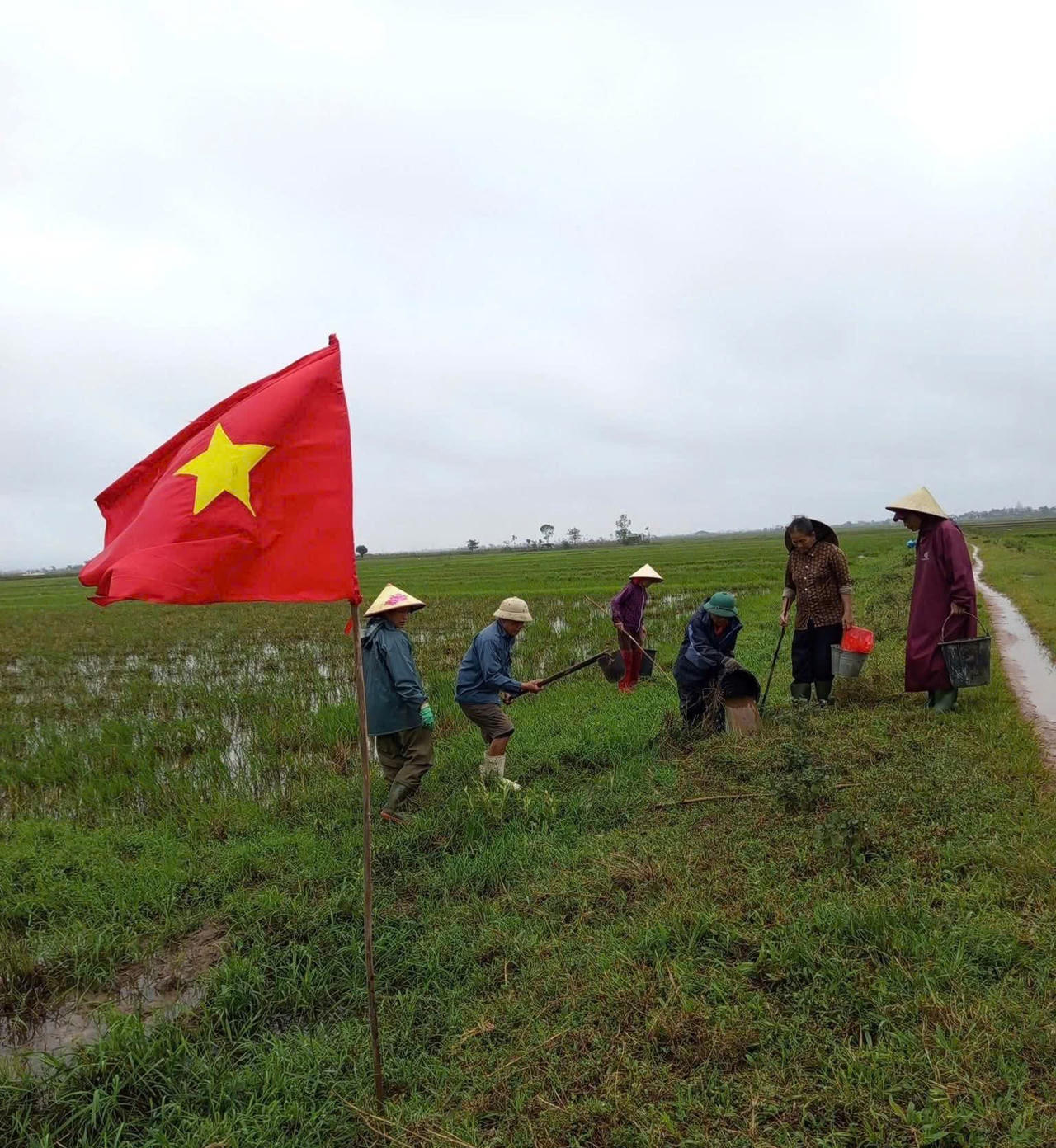 Xây nền, tạo lực cho Bắc Trạch (Quảng Trị) giữ đà tăng trưởng