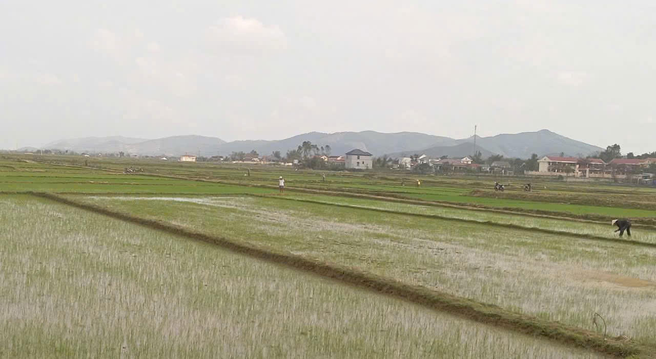 Xây nền, tạo lực cho Bắc Trạch (Quảng Trị) giữ đà tăng trưởng