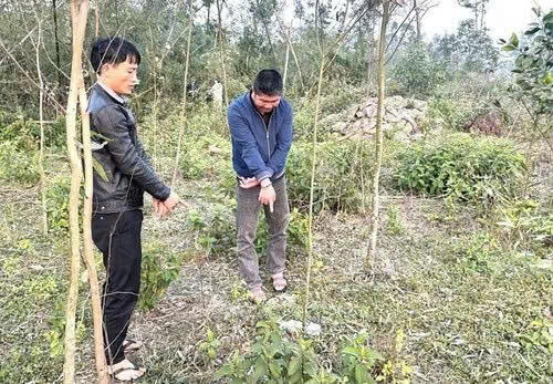 Hà Tĩnh: Khởi tố 2 đối tượng vào nghĩa trang sử dụng ma tuý