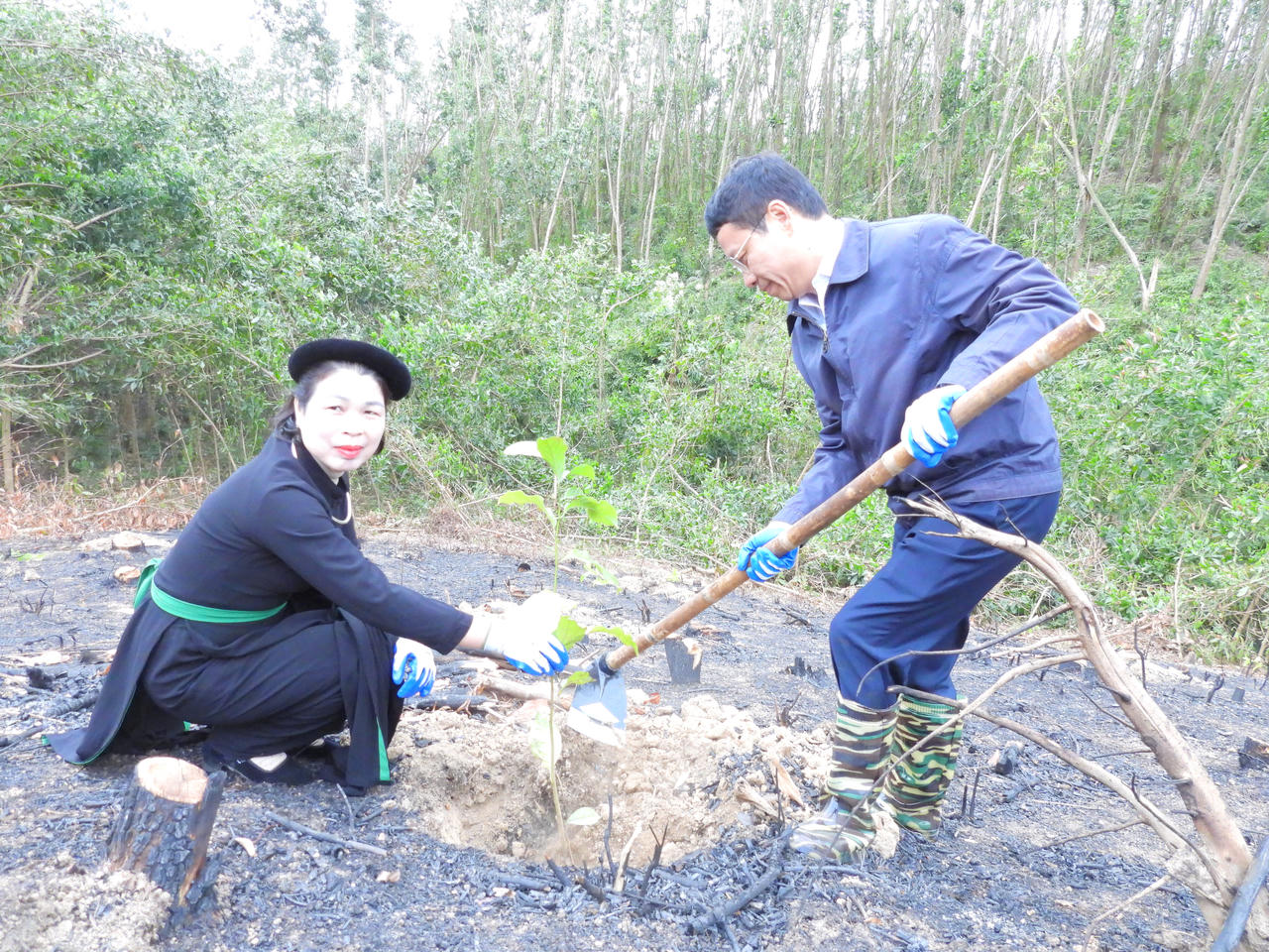 Quảng Ninh: Phát động cấp tỉnh “Tết trồng cây đời đời nhớ ơn Bác Hồ” vào 23/2