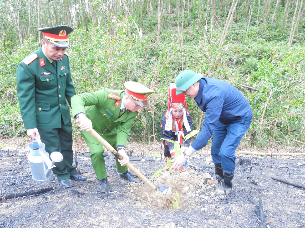 Quảng Ninh: Phát động cấp tỉnh “Tết trồng cây đời đời nhớ ơn Bác Hồ” vào 23/2