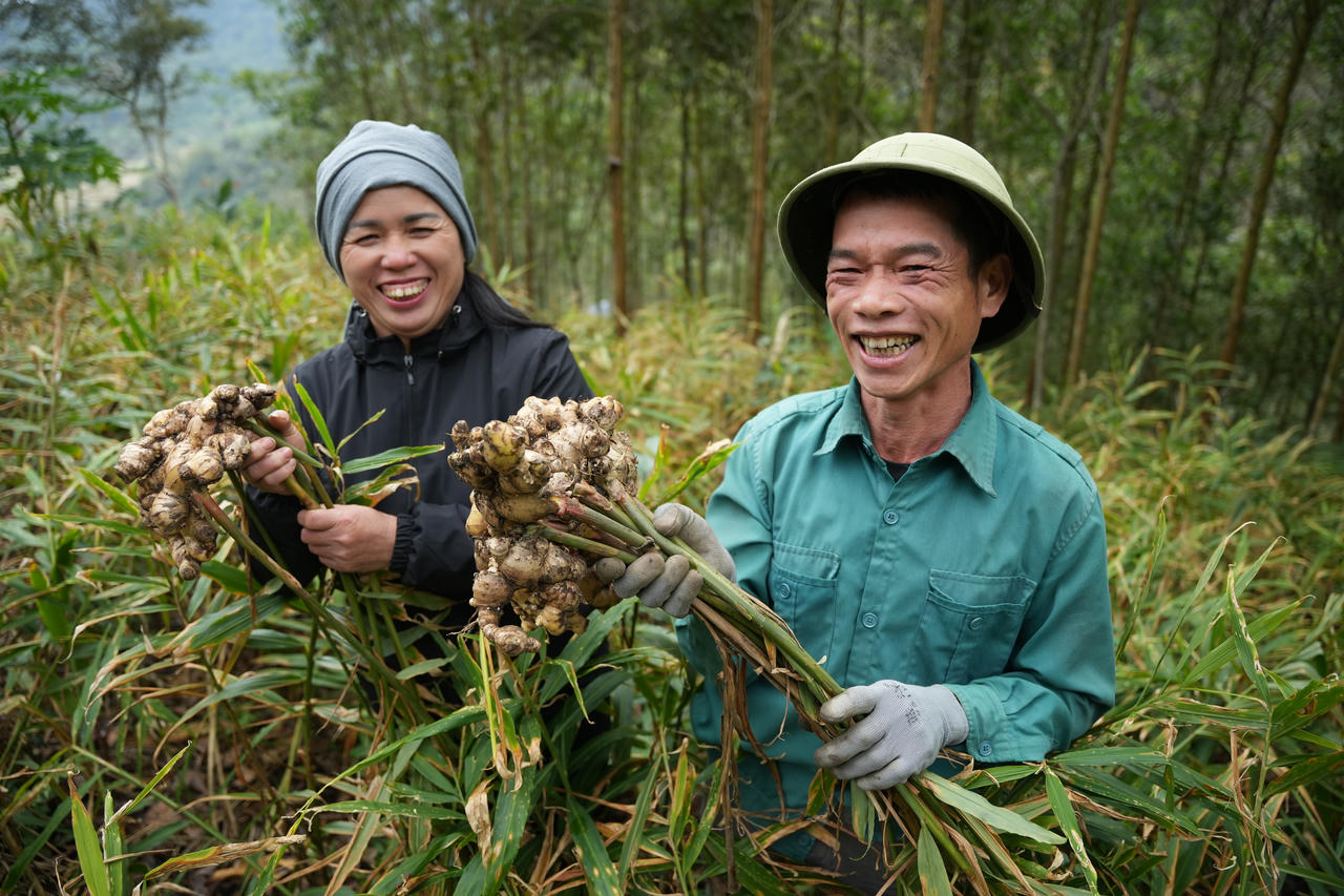 Chung tay bảo vệ rừng, cải thiện sinh kế nông thôn thông qua dự án 102,5 triệu USD