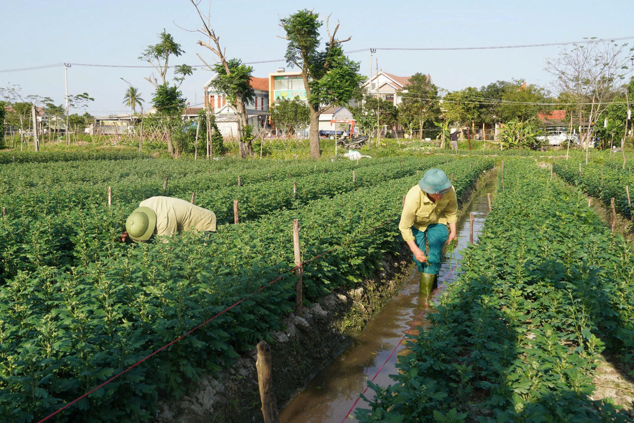 Đô thị phía Bắc tỉnh Quảng Trị chuyển mình, bứt phá