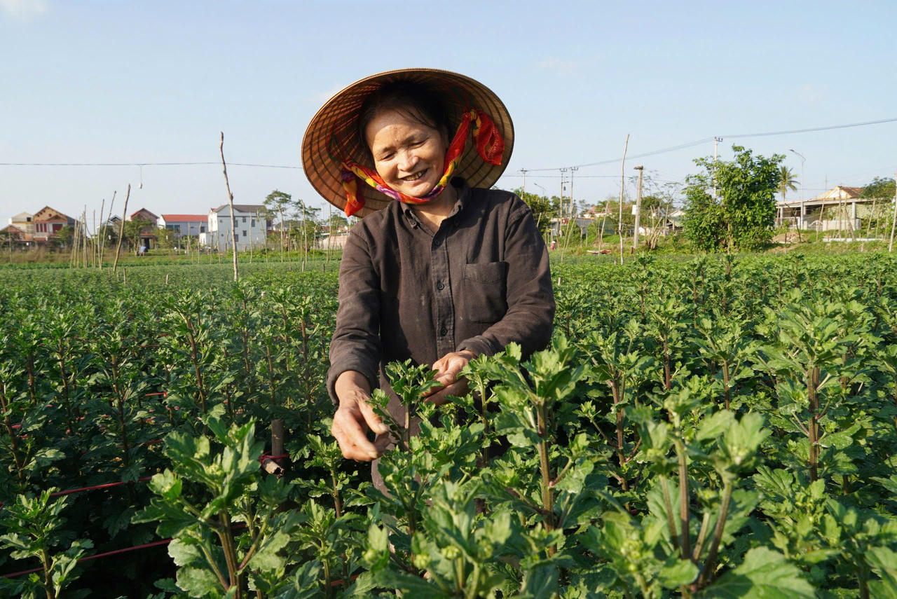 Đô thị phía Bắc tỉnh Quảng Trị chuyển mình, bứt phá