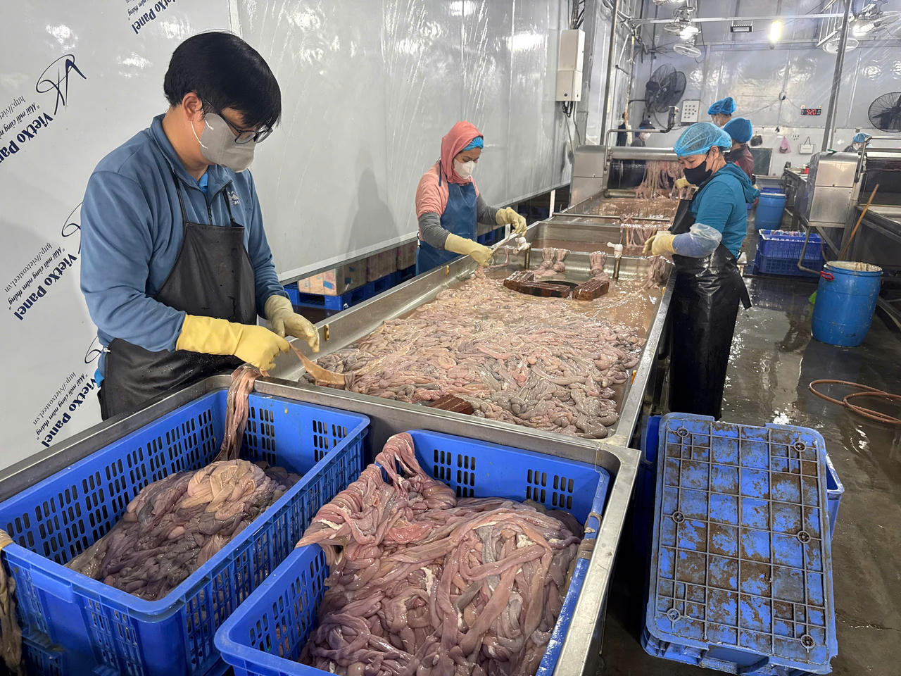 Công an Hà Nội phát hiện “kho lạnh” chứa gần 60 tấn lòng lợn không rõ nguồn gốc